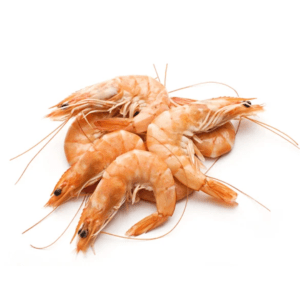 Prawn