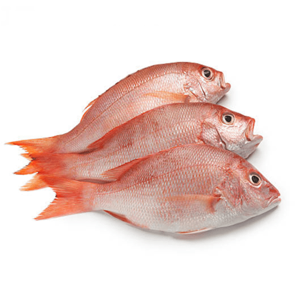 Sankara Fish