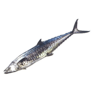 vijayafishmart seer fish